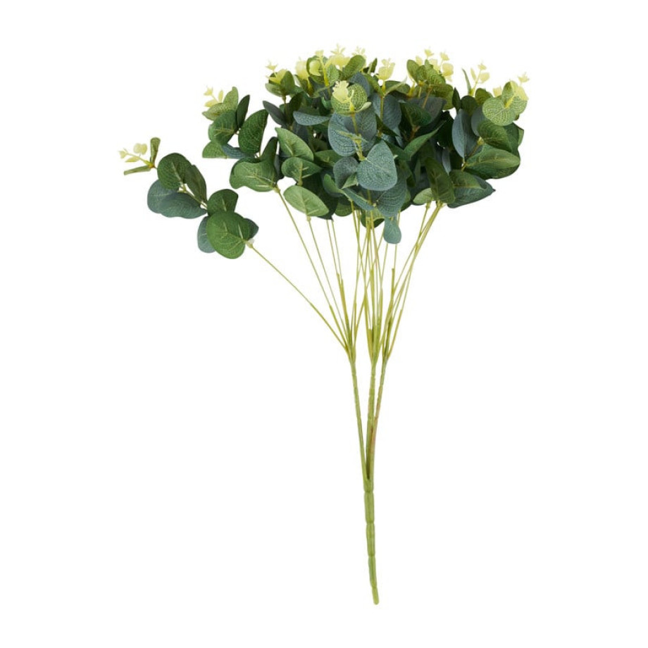 Eucalyptus - groen - 48 cm afbeelding 