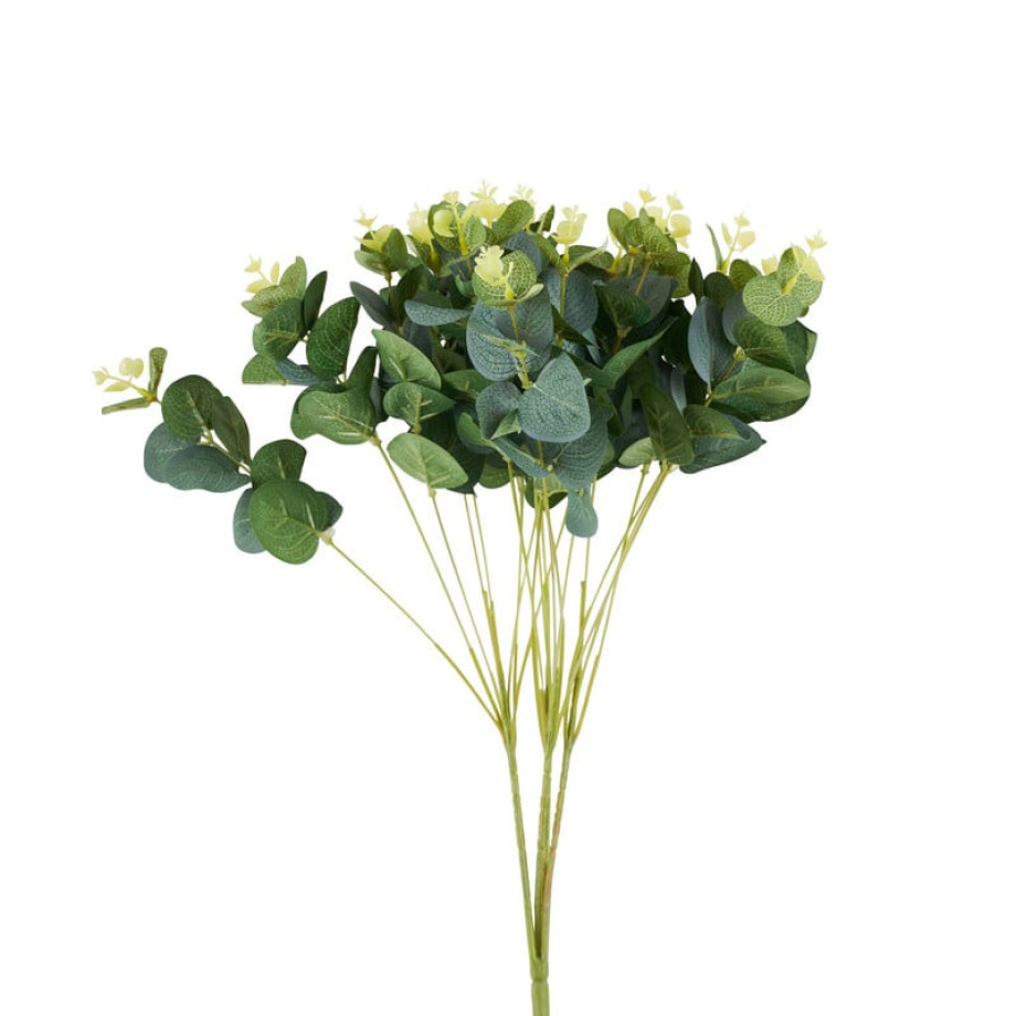 Eucalyptus - groen - 48 cm afbeelding 