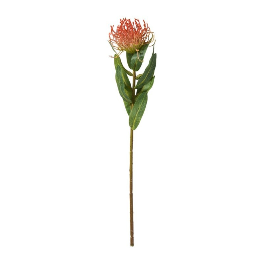 Kunstbloem leucospermum - oranje - 48 cm afbeelding 