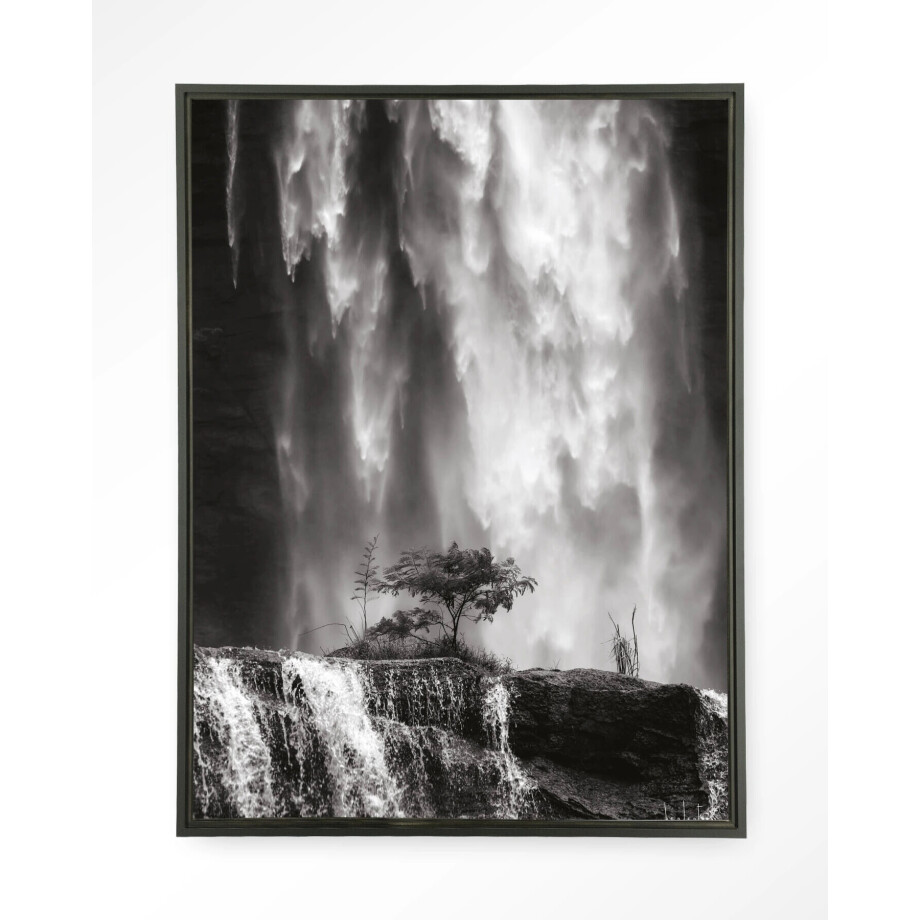 Urban Cotton Wandkleed 'Germinate' 145 x 190cm in Floating Frame - black afbeelding 