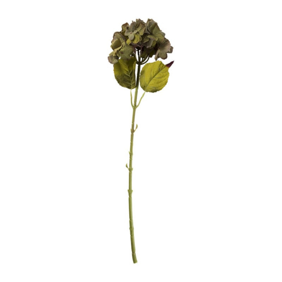 Hortensia tak - groen - 64 cm afbeelding 