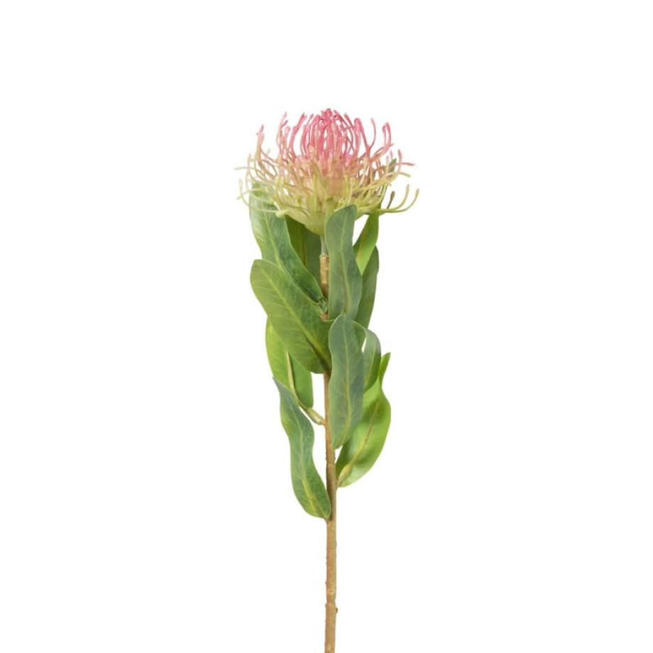 Kunstbloem leucospermum - fuchsia - 48 cm afbeelding 