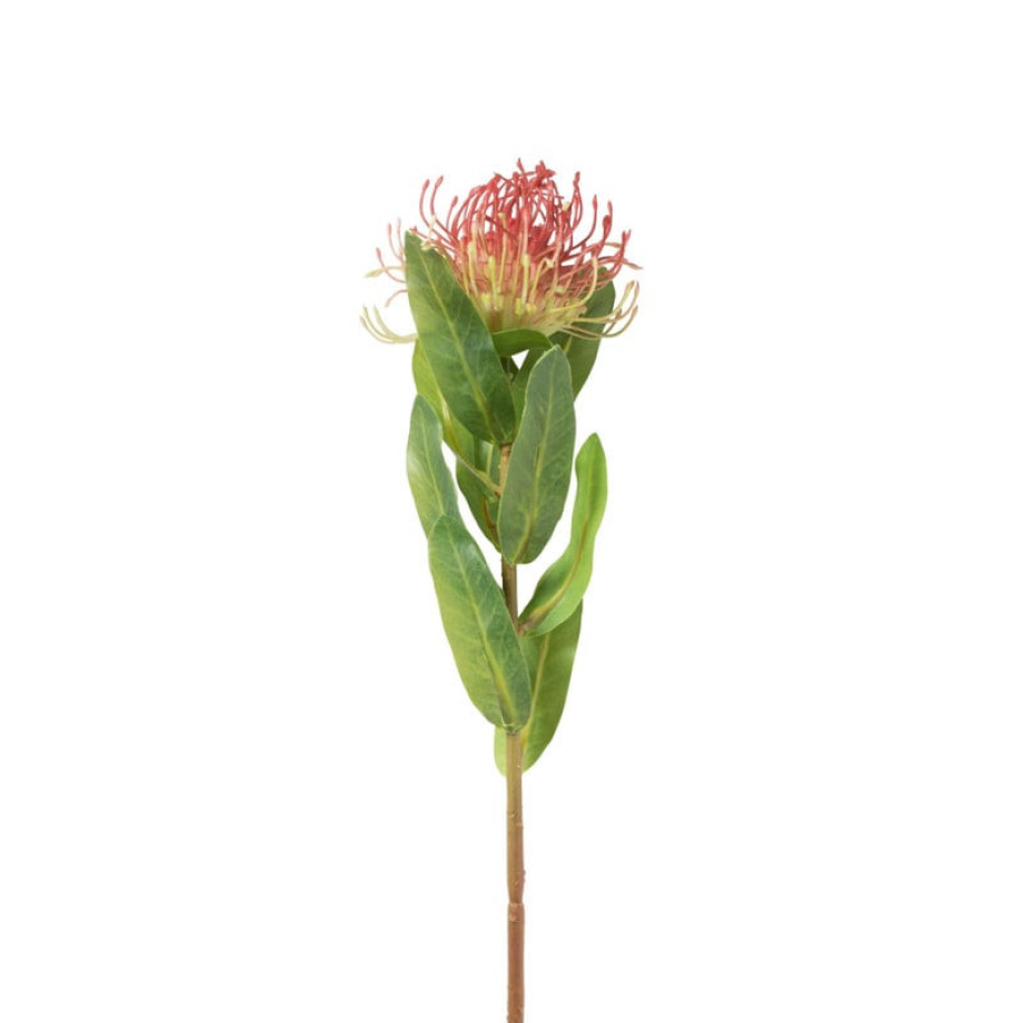 Kunstbloem leucospermum - rood - 48 cm afbeelding 