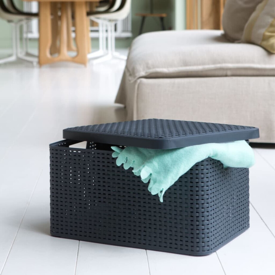 Curver Opbergbox Style met deksel L 30 L metallic zilverkleurig Curver Opbergbox Style met deksel L 30 L metallic zilverkleurig afbeelding 1