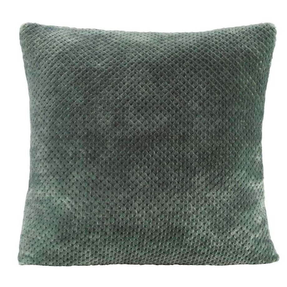 2e Halve Prijs Leen Bakker - Woonkussen Ilona - 60x60 Cm - Polyester - Groen afbeelding 1