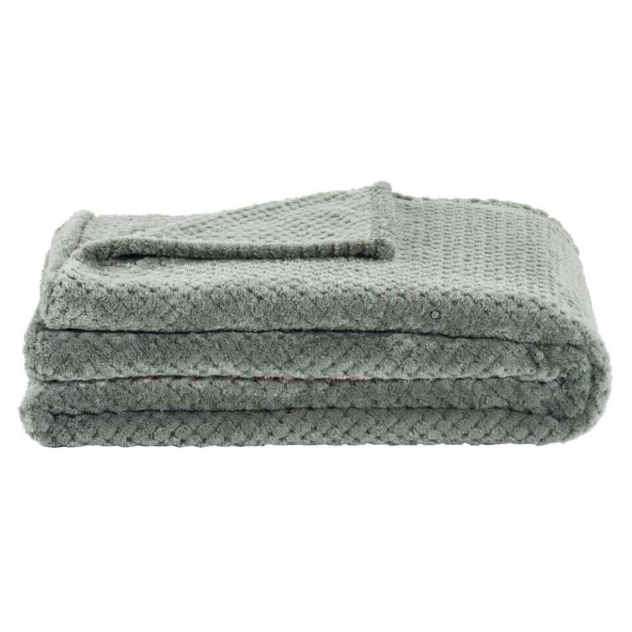 Leen Bakker - Plaid Ilona - 130x170 Cm - Polyester - Groen Leen Bakker - Plaid Ilona - 130x170 Cm - Polyester - Groen afbeelding 1