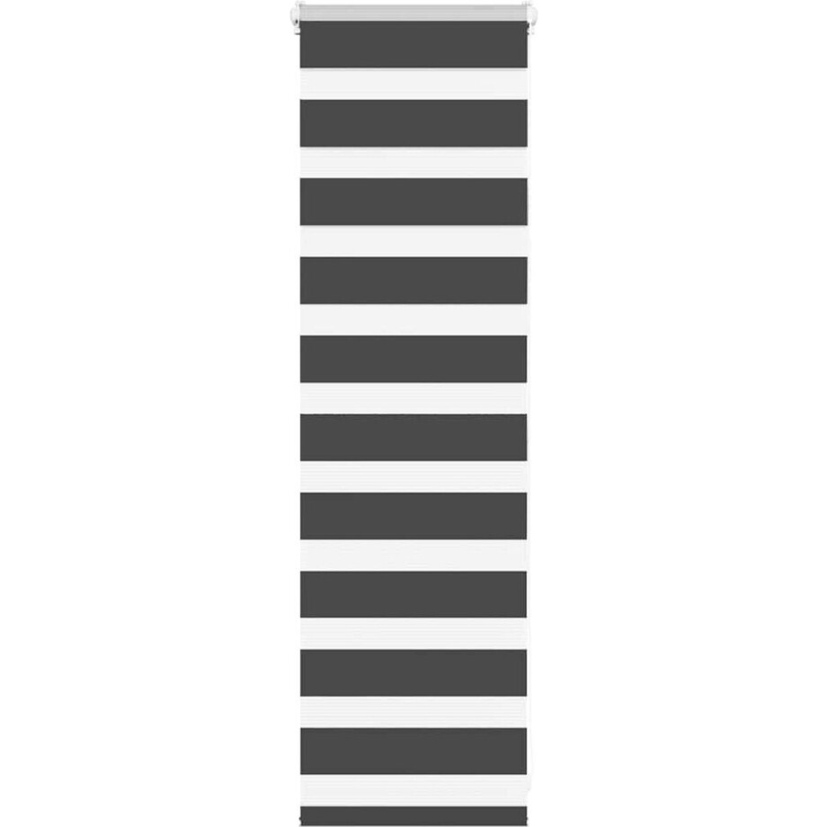 vidaXL - Zebra - rolgordijn - 50x100 - cm - stofbreedte - 45,9cm - zwart afbeelding 1