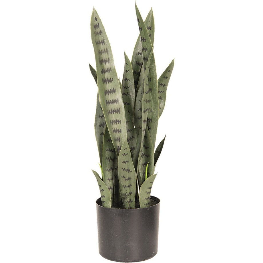 Clayre & Eef Kunstplant 26*30*60 cm Groen Kunststof, Foam Kunstbloem Nepplant Nepbloem afbeelding 1