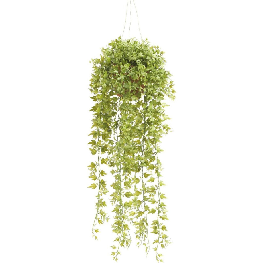 Emerald - Ivy Hangplant - In pot - 50 cm - Groen afbeelding 1