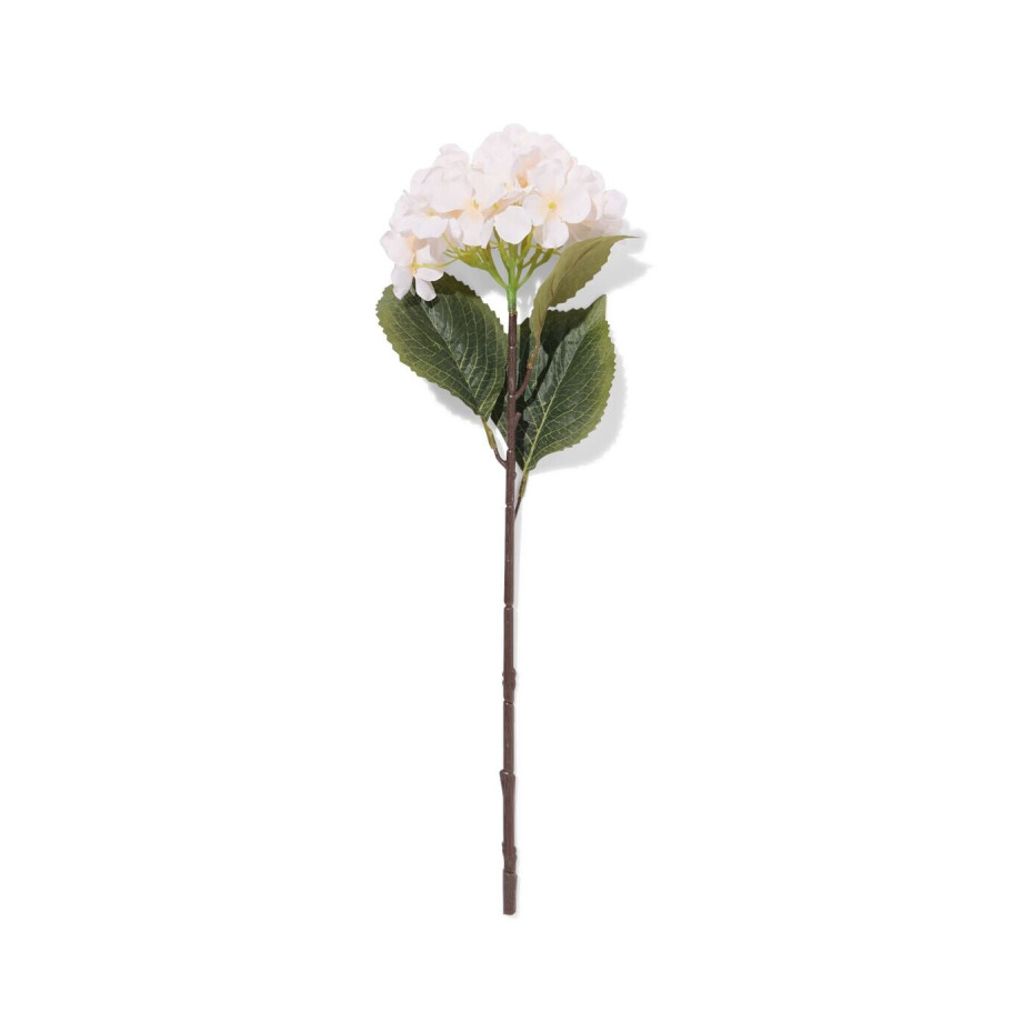 HEMA HEMA Kunstbloem Hortensia 55cm Wit (wit) afbeelding 1