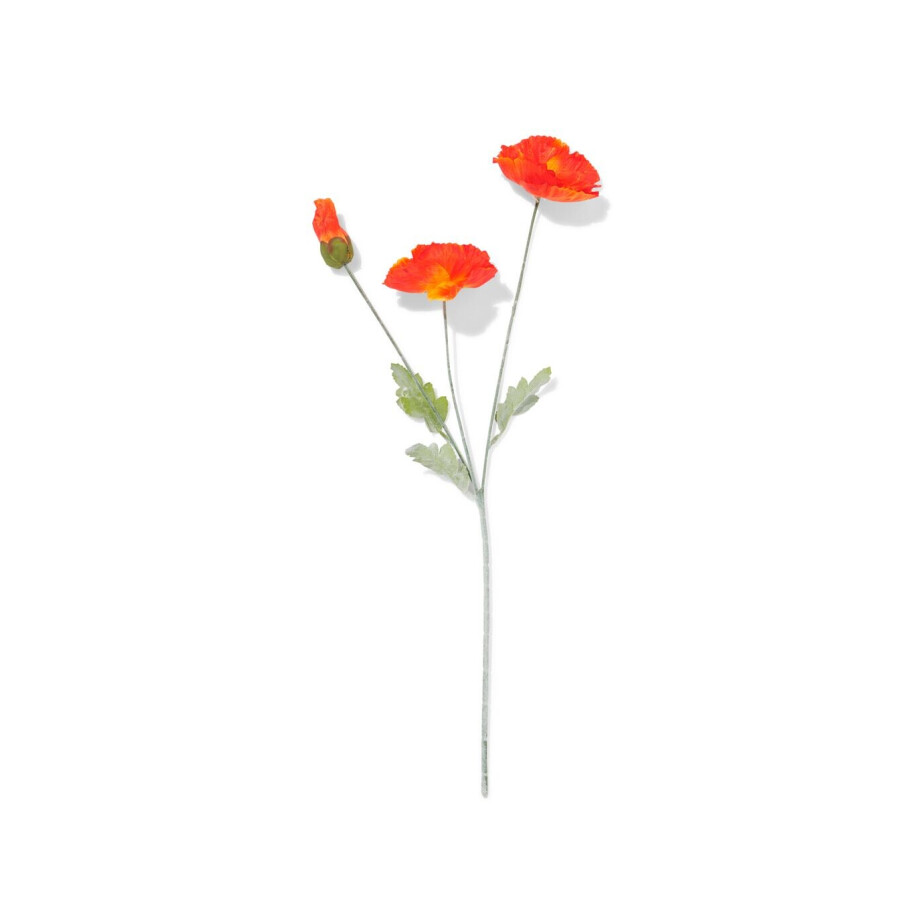 HEMA HEMA Kunstbloem Klaproos 55cm Rood (rood) afbeelding 1