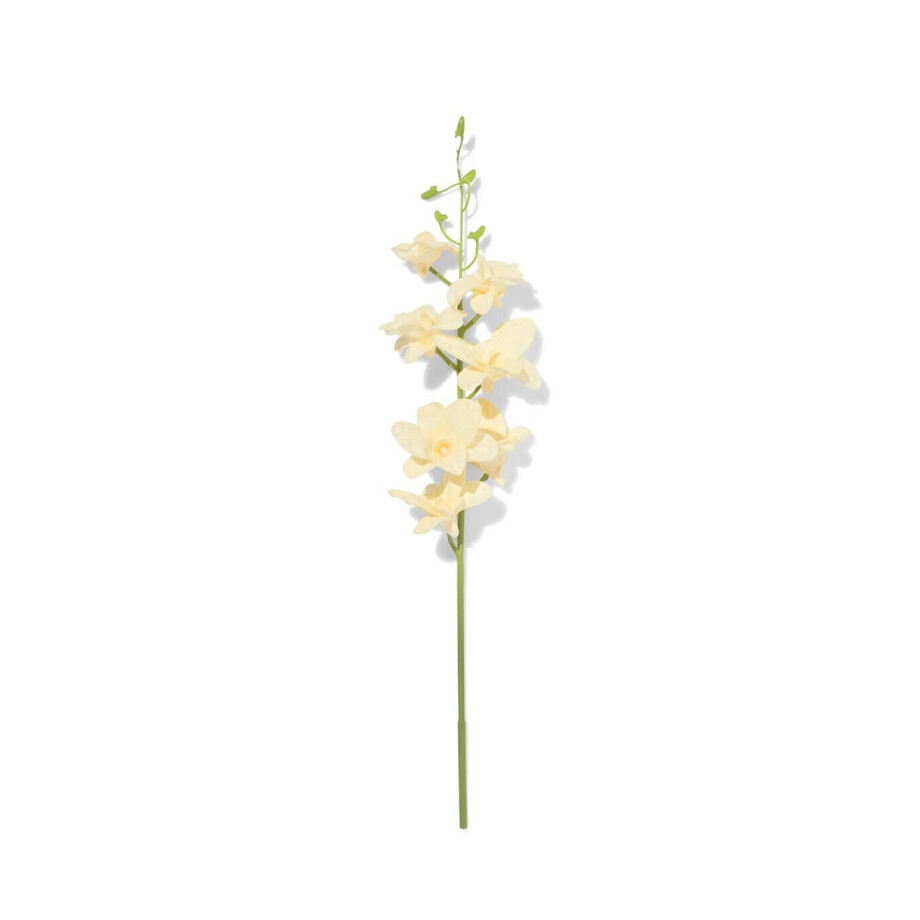 HEMA HEMA Kunstbloem Dendrobium 55cm Rubber Wit (wit) HEMA HEMA Kunstbloem Dendrobium 55cm Rubber Wit (wit) afbeelding 1