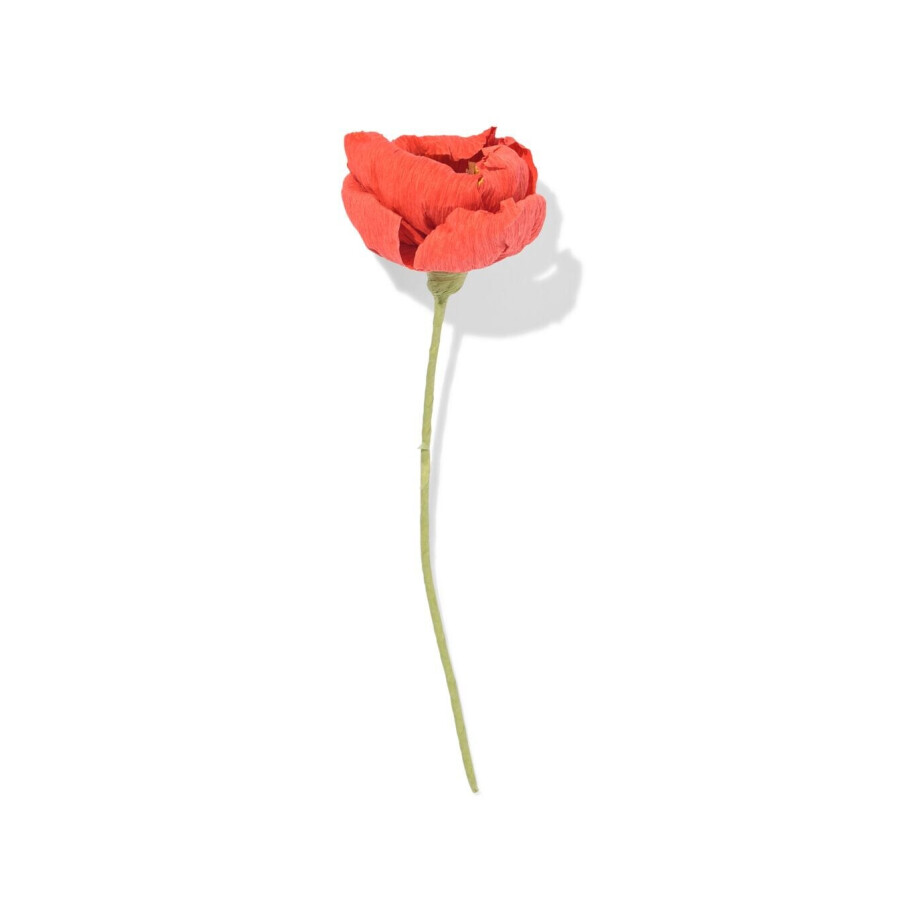 HEMA HEMA Kunstbloem Klaproos 23cm Papier Rood (rood) afbeelding 1