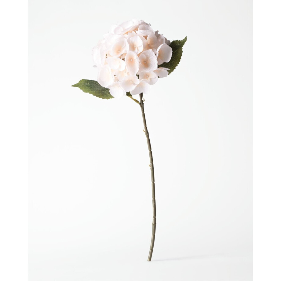 HEMA HEMA Kunstbloem Hortensia 55cm Wit (wit) afbeelding 1