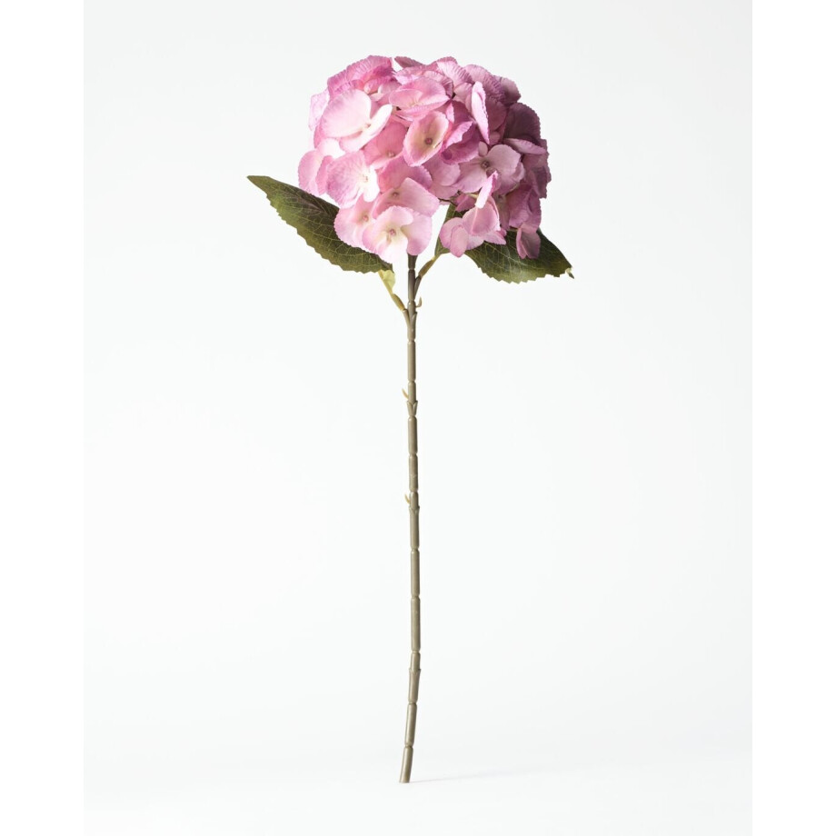 HEMA HEMA Kunstbloem Hortensia 55cm Roze (roze) HEMA HEMA Kunstbloem Hortensia 55cm Roze (roze) afbeelding 1