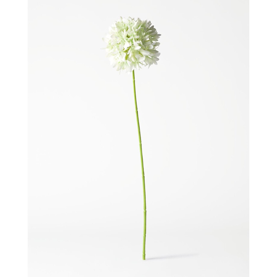 HEMA HEMA Kunstbloem Allium 55cm Wit (wit) afbeelding 1