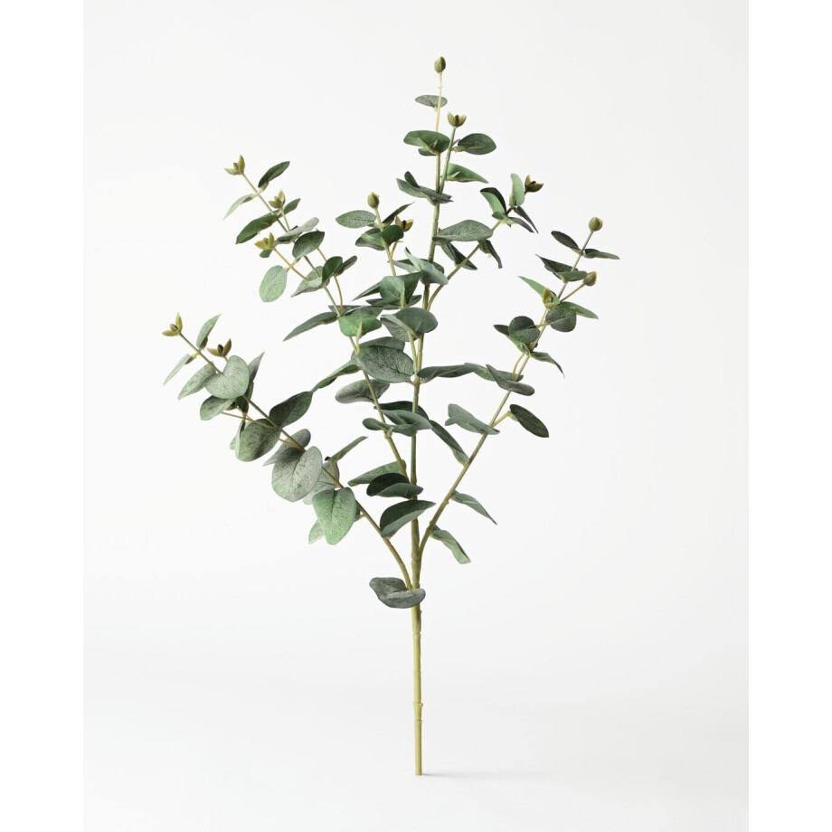 HEMA HEMA Kunsttak Eucalyptus 55cm (groen) afbeelding 1