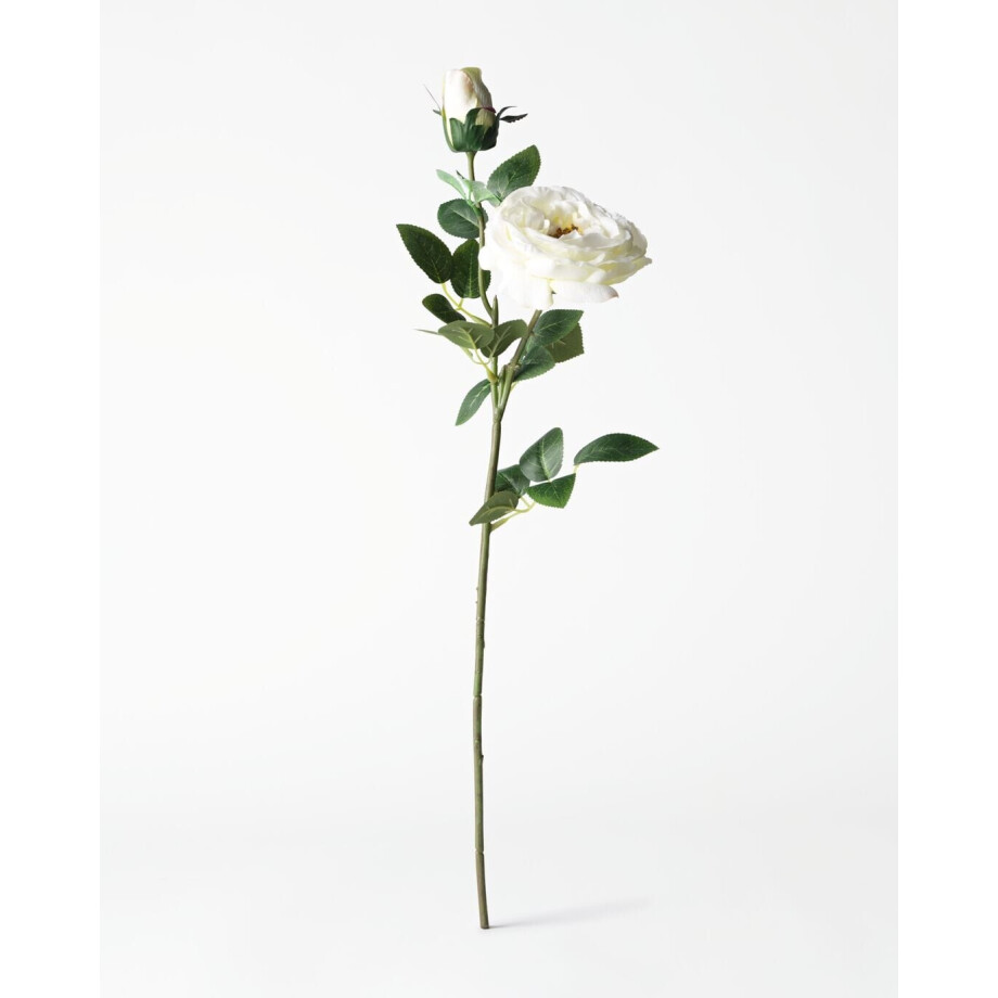 HEMA HEMA Kunstbloem Roos 55cm Wit (wit) HEMA HEMA Kunstbloem Roos 55cm Wit (wit) afbeelding 1