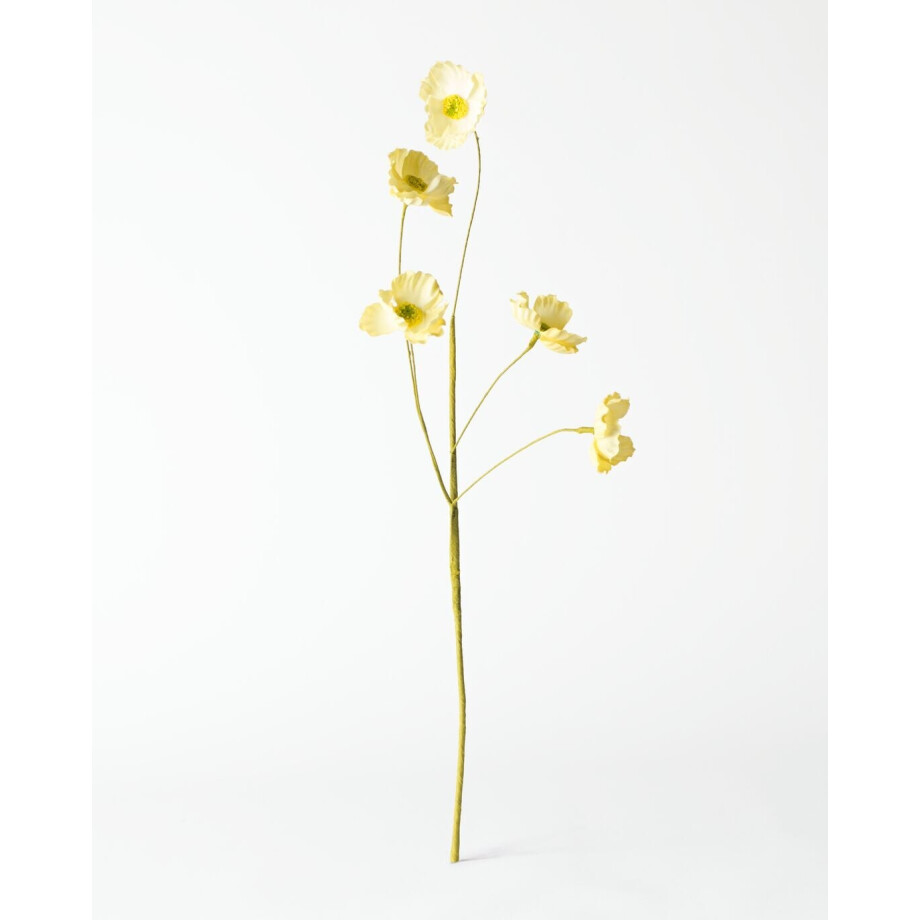 HEMA HEMA Kunstbloem Boterbloem 55cm Lichtgeel (lichtgeel) HEMA HEMA Kunstbloem Boterbloem 55cm Lichtgeel (lichtgeel) afbeelding 1