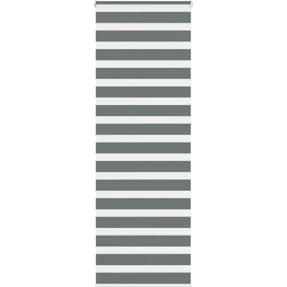 vidaXL - Zebra - rolgordijn - 90x230 - cm - stofbreedte - 85,9 - cm - donkergrijs vidaXL - Zebra - rolgordijn - 90x230 - cm - stofbreedte - 85,9 - cm - donkergrijs afbeelding 1