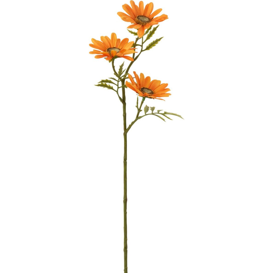 J-Line bloem Madelief - kunststof - oranje - 36 stuks afbeelding 1