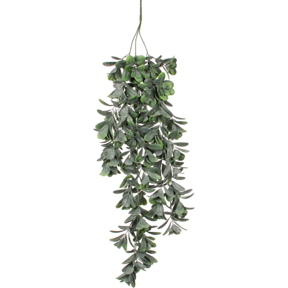MICA DECORATIONS - Kunstplant Crassula L 79 cm - Groen MICA DECORATIONS - Kunstplant Crassula L 79 cm - Groen afbeelding 1