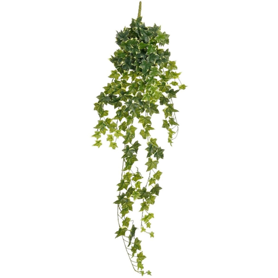 Mica Decorations Hedera klimop kunstplant - groen mix - hangplant - L25 x B25 x H134 cm - Kunstplanten/nepplanten Mica Decorations Hedera klimop kunstplant - groen mix - hangplant - L25 x B25 x H134 cm - Kunstplanten/nepplanten afbeelding 1