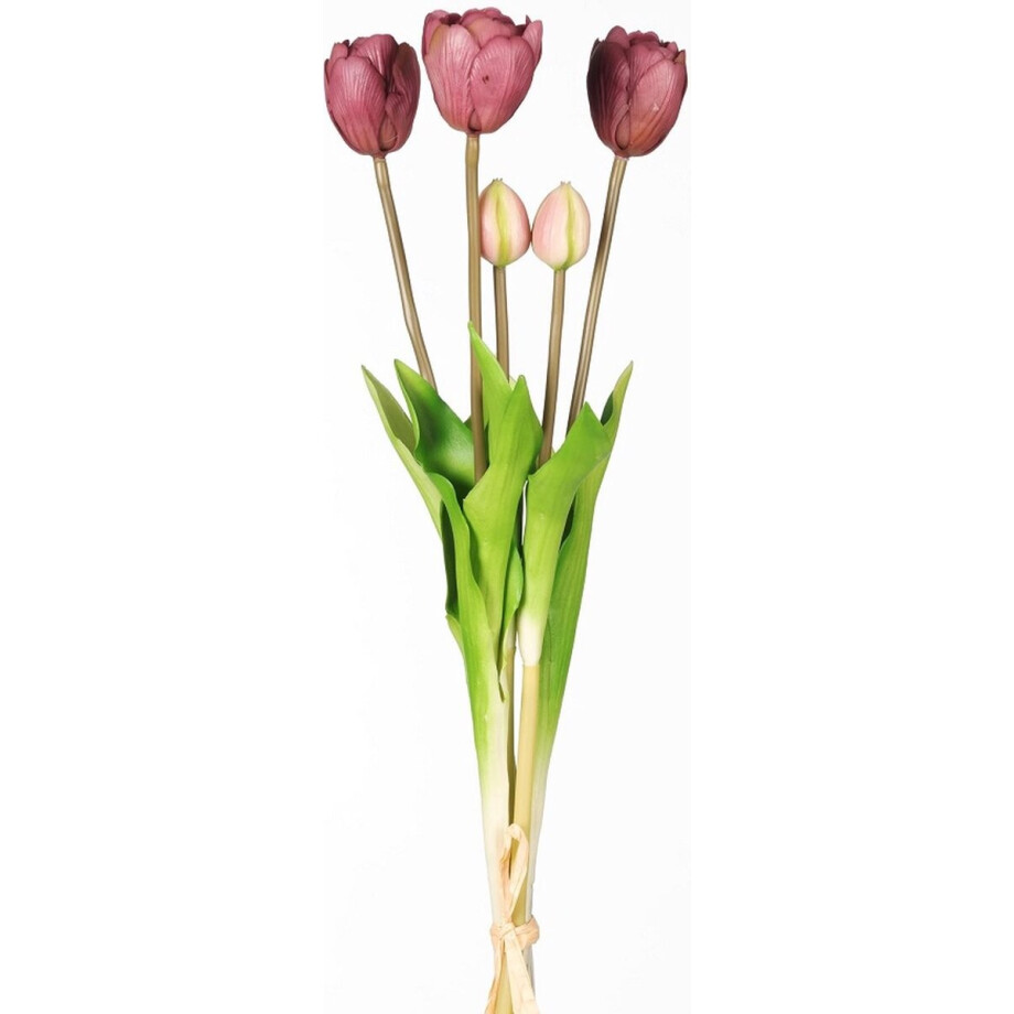 Real Touch Tulip Dubble Bundle x5 L44cm aubergine - Real Touch Tulpen - aubergine- Tulpen - Kunstbloemen - Kunst Tulpen - Kunst Boeket - Tulp - 44 CM - Zijden Bloemen - Latex Bloem - Bruiloft - Voorjaar - Lente afbeelding 1