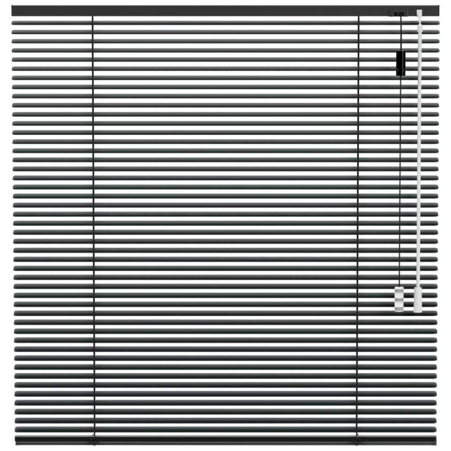 Leen Bakker - Fenstr Jaloezie 25mm Standaard Lak - Antraciet (20715) - Aluminium - Grijs - 120x10x10 Cm afbeelding 1