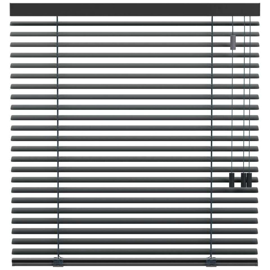 Leen Bakker - Fenstr Jaloezie 50mm Standaard Lak - Antraciet (20717) - Aluminium - Grijs - 120x10x10 Cm afbeelding 1