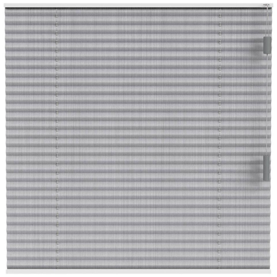 Leen Bakker - Fenstr Plisségordijn Lille Enkel 20mm Transparant - Licht (20021) - Polyester - Grijs - 120x10x10 Cm afbeelding 1