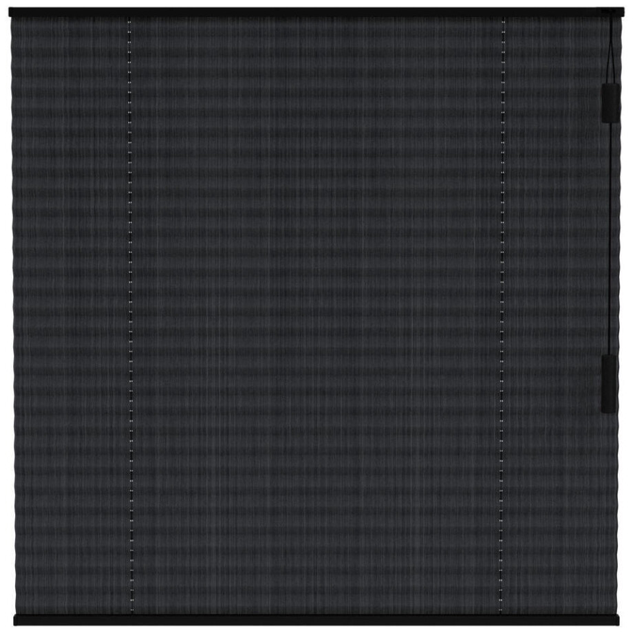 25% korting - Leen Bakker - Fenstr Plisségordijn Lille Enkel 20mm Transparant - (15017) - Polyester - Zwart - 120x10x10 Cm afbeelding 1