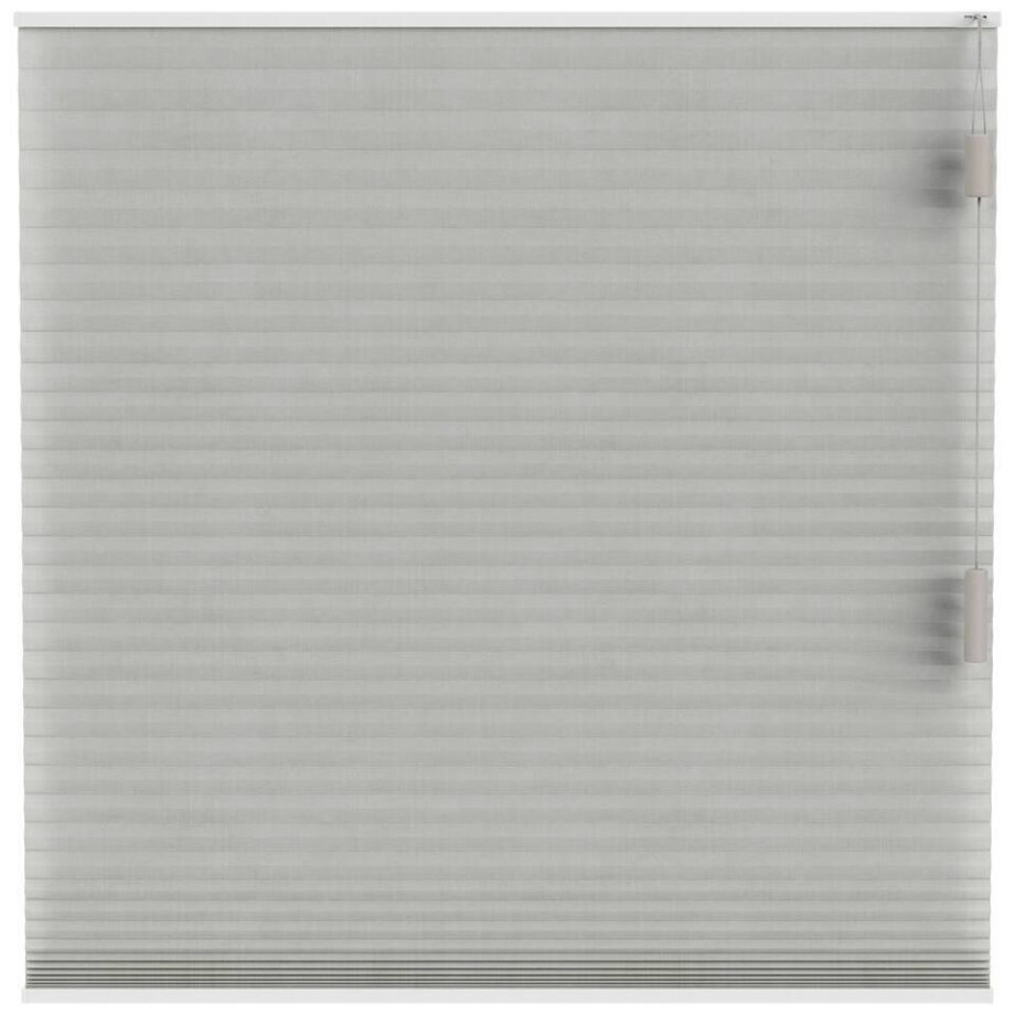 Leen Bakker - Fenstr Plisségordijn Sidney Dubbel 25mm Transparant - Linnen (25513) - Polyester - Grijs - 120x10x10 Cm Leen Bakker - Fenstr Plisségordijn Sidney Dubbel 25mm Transparant - Linnen (25513) - Polyester - Grijs - 120x10x10 Cm afbeelding 1