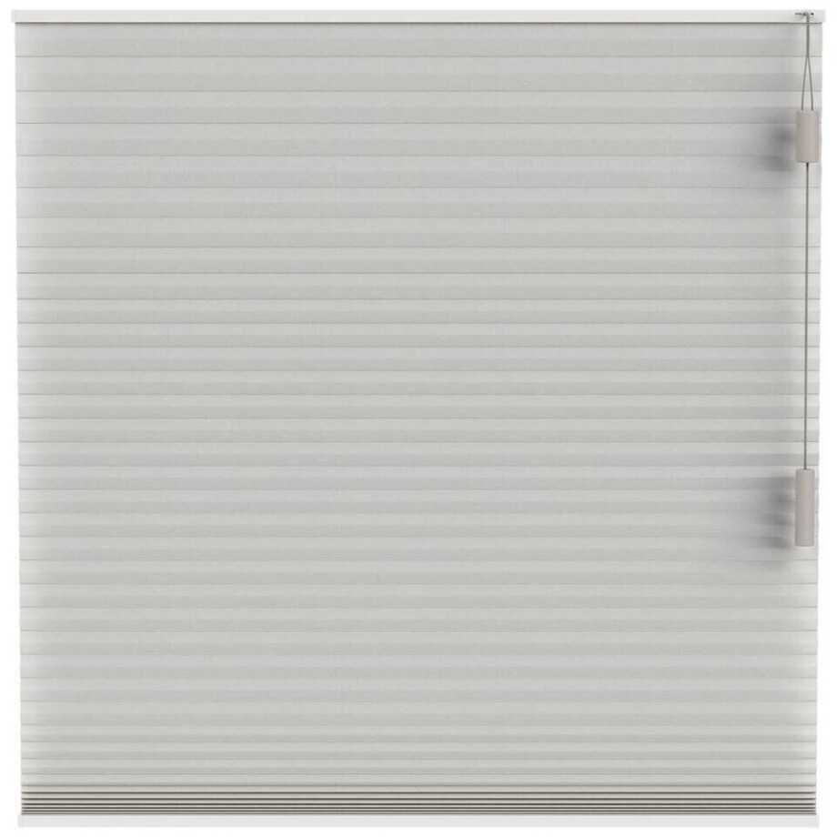 Leen Bakker - Fenstr Plisségordijn Chicago Dubbel 25mm Lichtdoorlatend - Linnen (25510) - Polyester - Taupe - 120x10x10 Cm afbeelding 1