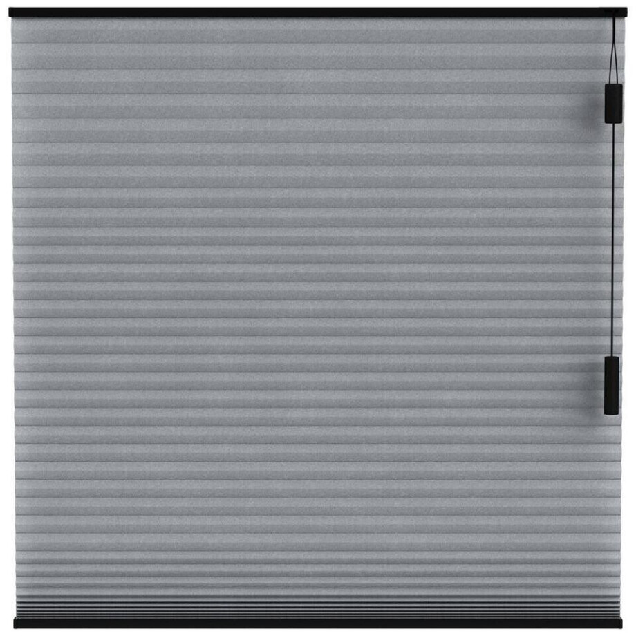 Leen Bakker - Fenstr Plisségordijn Seattle Dubbel 25mm Lichtdoorlatend - Antraciet (20711) - Polyester - Grijs - 120x10x10 Cm afbeelding 1