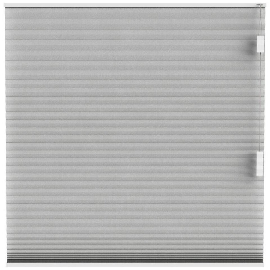 Leen Bakker - Fenstr Plisségordijn Seattle Dubbel 25mm Lichtdoorlatend - (30016) - Polyester - Taupe - 120x10x10 Cm afbeelding 1