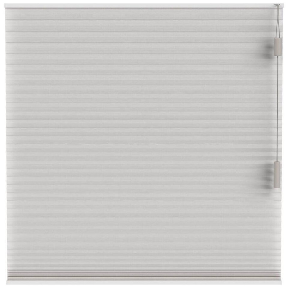 25% korting - Leen Bakker - Fenstr Plisségordijn Brisbane Dubbel 25mm Lichtdoorlatend - (25108) - Polyester - Beige - 120x10x10 Cm afbeelding 1