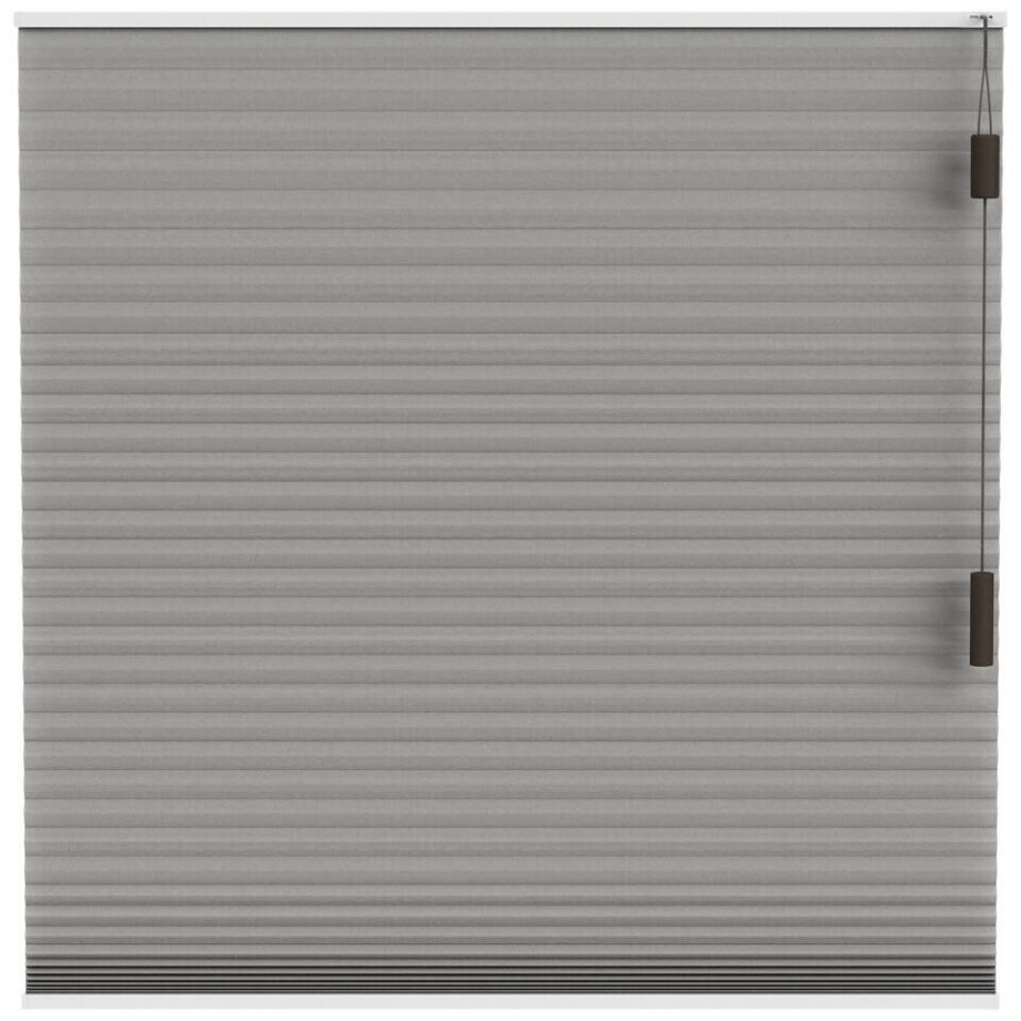 Leen Bakker - Fenstr Plisségordijn Toronto Dubbel 25mm Lichtdoorlatend - (30018) - Polyester - Taupe - 120x10x10 Cm afbeelding 1