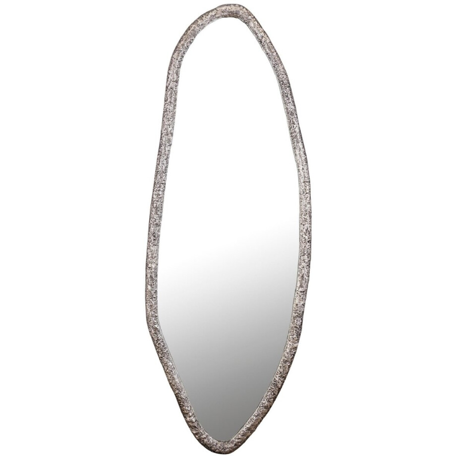 PTMD Spiegel Paislie - 56x3x150 cm - Nikkel - Nikkel afbeelding 1