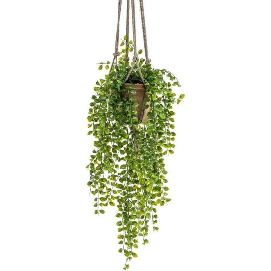 Kunst Ficus pumila hangplant 80cm Kunst Ficus pumila hangplant 80cm afbeelding 1