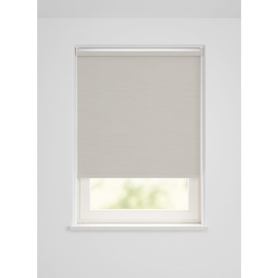 HEMA HEMA Rolgordijn Verduisterend Uni Lichtgrijs (lichtgrijs) HEMA HEMA Rolgordijn Verduisterend Uni Lichtgrijs (lichtgrijs) afbeelding 1