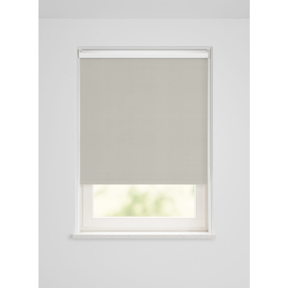 HEMA HEMA Rolgordijn Verduisterend Structuur Uni Lichtgrijs (lichtgrijs) HEMA HEMA Rolgordijn Verduisterend Structuur Uni Lichtgrijs (lichtgrijs) afbeelding 1