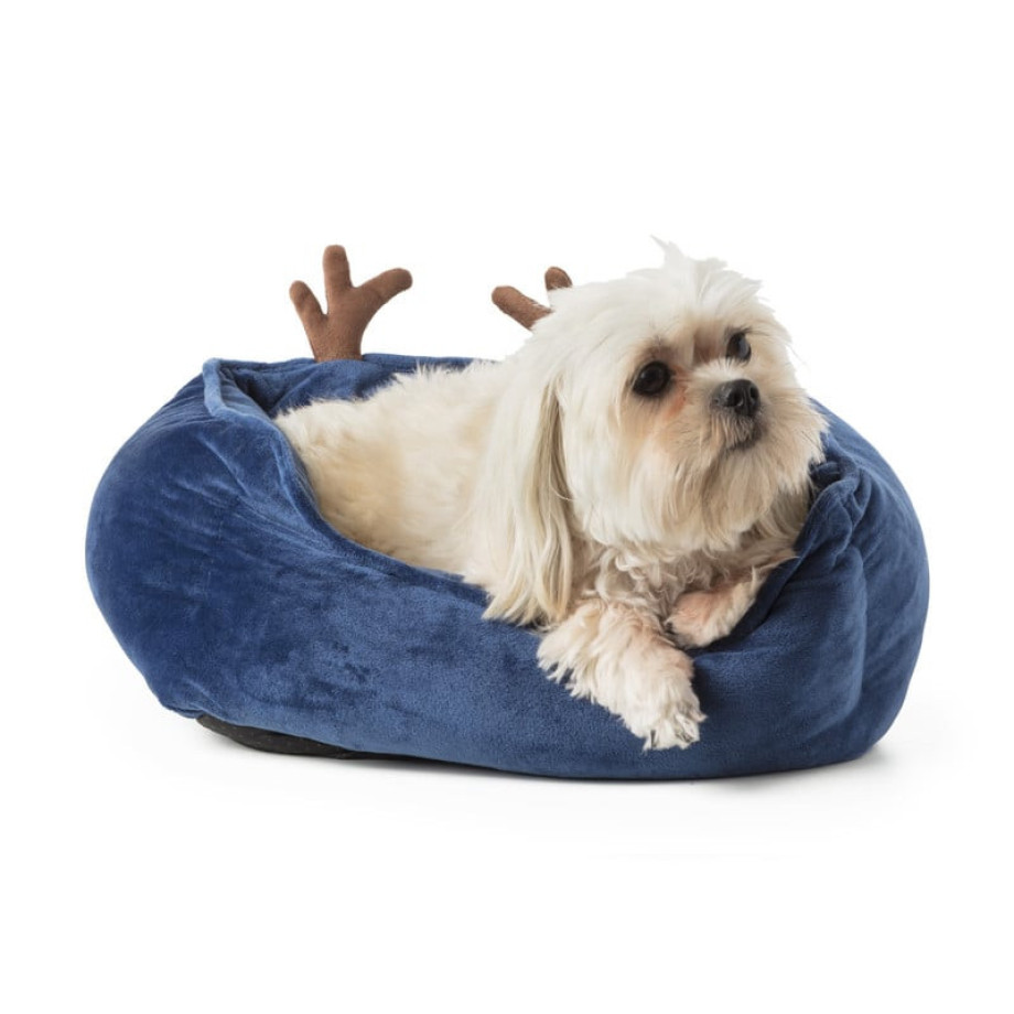 Hondenmand - kerst - blauw afbeelding 