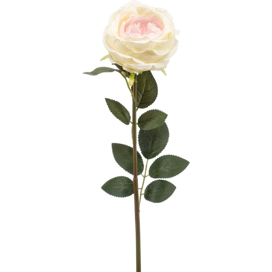 Emerald - Kunstbloem Roos Joelle 65cm wit - Kunstplant voor binnen Emerald - Kunstbloem Roos Joelle 65cm wit - Kunstplant voor binnen afbeelding 1