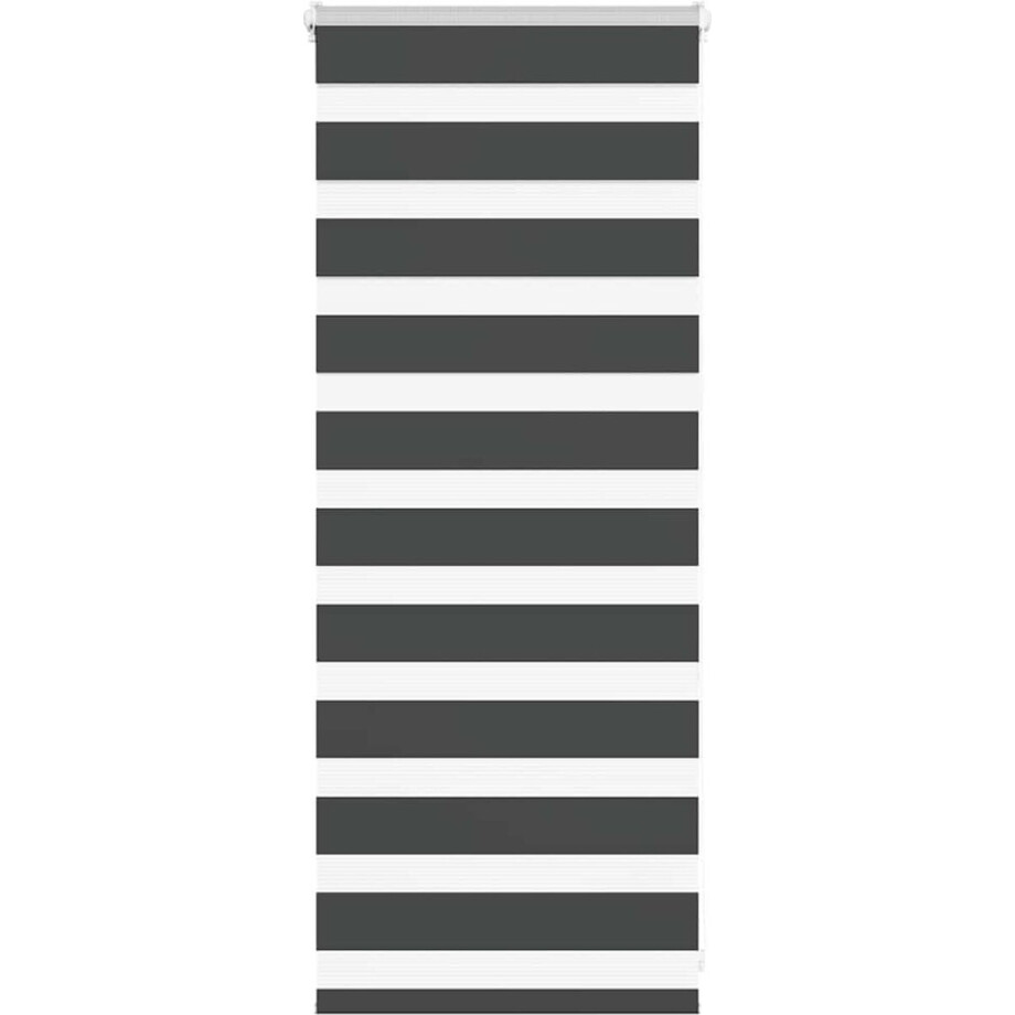 vidaXL - Zebra - rolgordijn - 65x100 - cm - stofbreedte - 60,9 - cm - zwart vidaXL - Zebra - rolgordijn - 65x100 - cm - stofbreedte - 60,9 - cm - zwart afbeelding 1