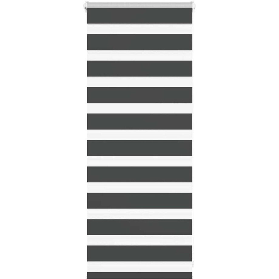 vidaXL - Zebra - rolgordijn - 60x100 - cm - stofbreedte - zwart - 55,9 - cm vidaXL - Zebra - rolgordijn - 60x100 - cm - stofbreedte - zwart - 55,9 - cm afbeelding 1