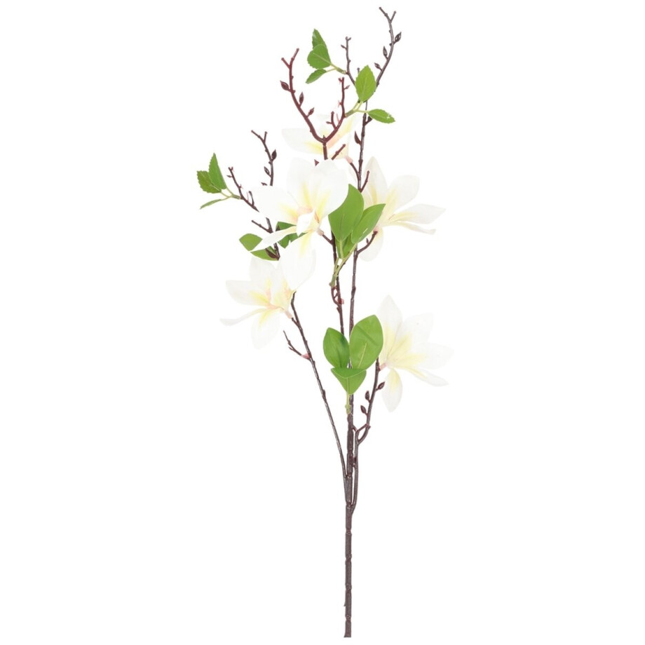 Countryfield Kunstbloem Magnolia wit 82 cm doos 24 stuks Countryfield Kunstbloem Magnolia wit 82 cm doos 24 stuks afbeelding 1