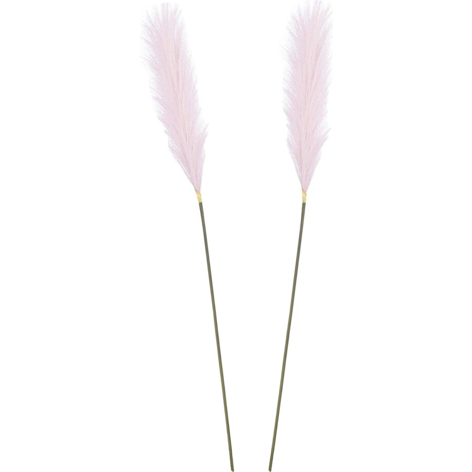 Mica Decorations Pluimgras losse steel/tak - 2x - lila paars - 104 cm - Decoratie kunst bloemen Mica Decorations Pluimgras losse steel/tak - 2x - lila paars - 104 cm - Decoratie kunst bloemen afbeelding 1
