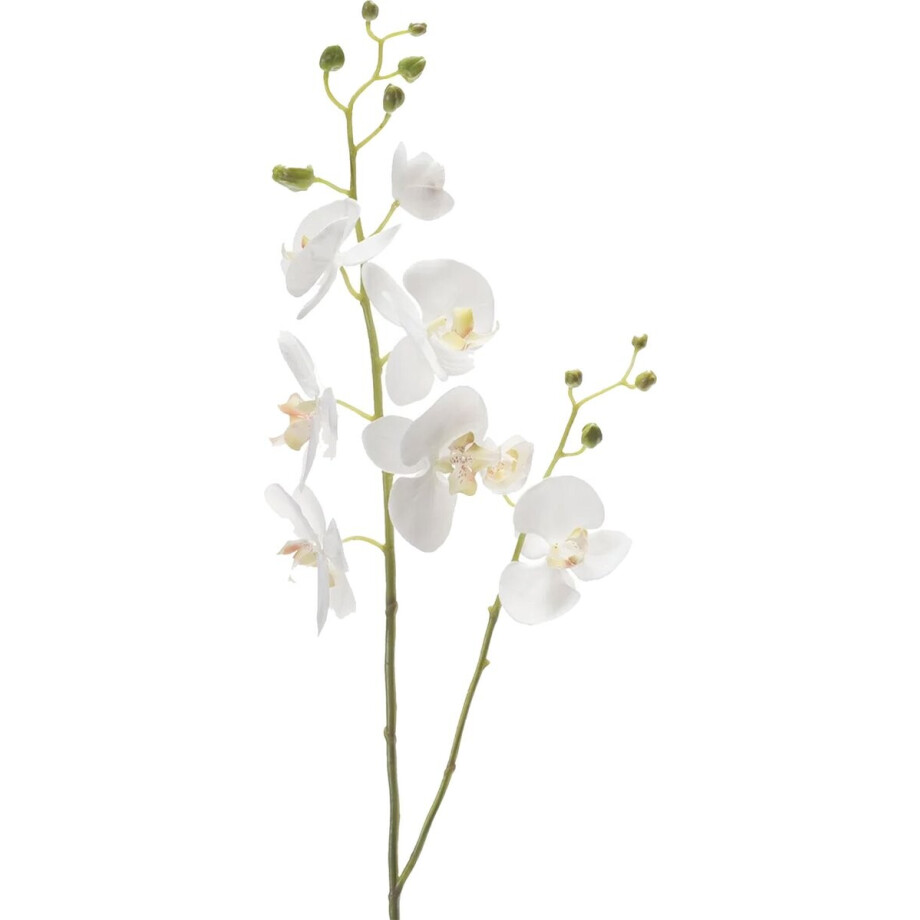 Emerald Kunstbloem Orchidee - 95 cm - wit - losse tak - kunst zijdebloem - Phalaenopsis afbeelding 1