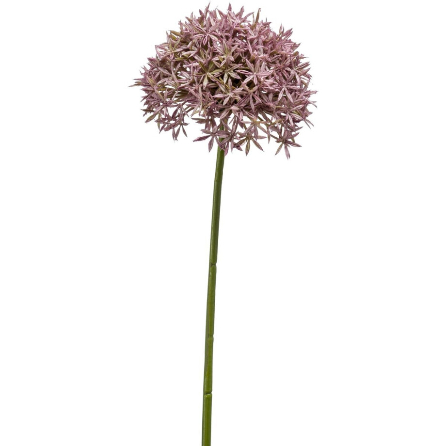 Emerald - Kunstbloem Allium 62cm lila - Kunstplant voor binnen afbeelding 1